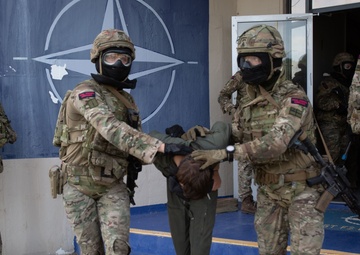 Exercise Tartan Eagle Phase One