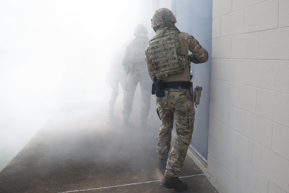 Exercise Tartan Eagle Phase One