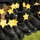 CFAY Gold Star Program Hosts Bells Across America