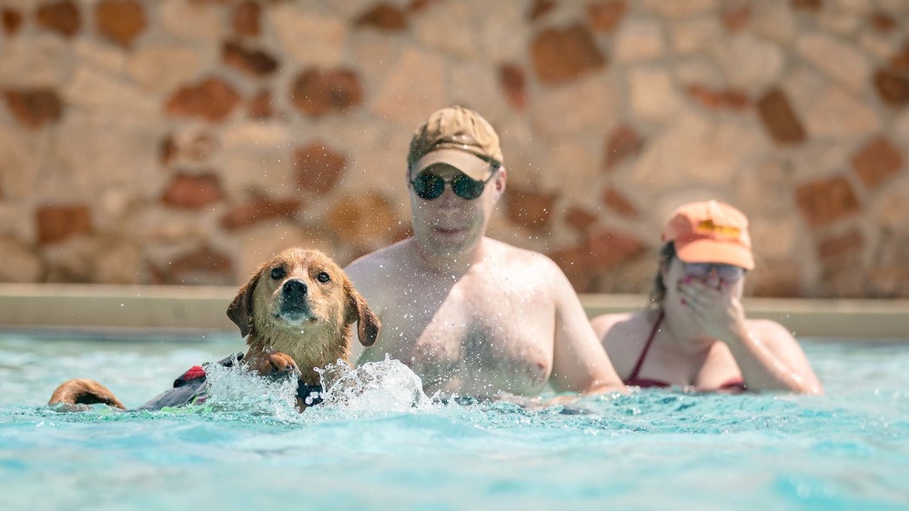 Pups love Bliss FMWR Doggy Swim Day