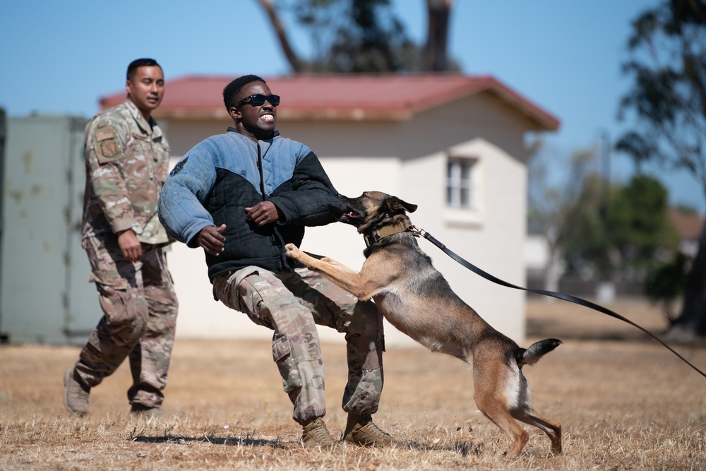 K-9 Demo at Travis AFB