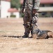 K-9 Demo at Travis AFB