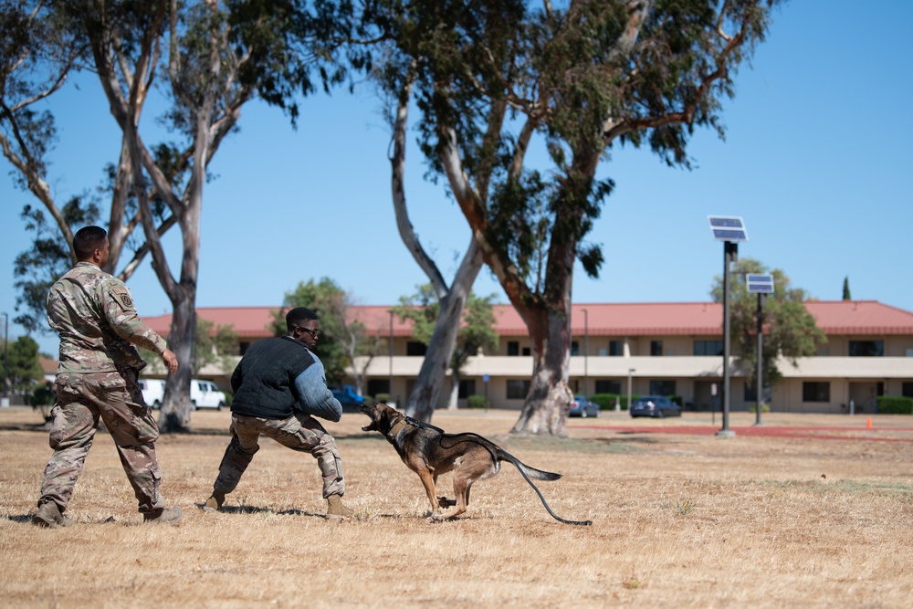 K-9 Demo at Travis AFB