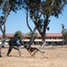 K-9 Demo at Travis AFB