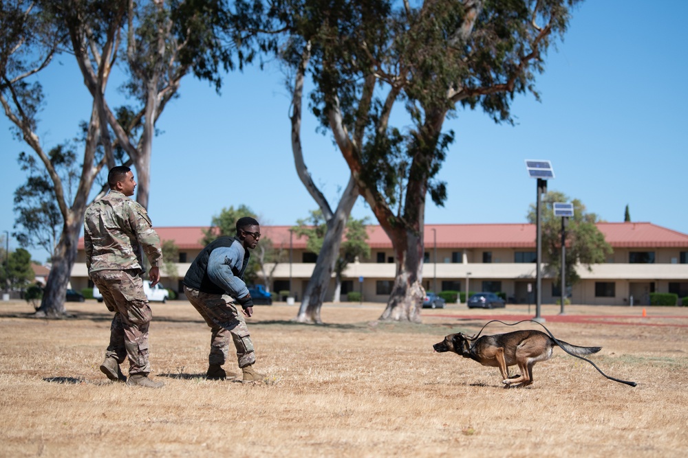 K-9 Demo at Travis AFB