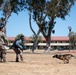 K-9 Demo at Travis AFB