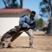 K-9 Demo at Travis AFB