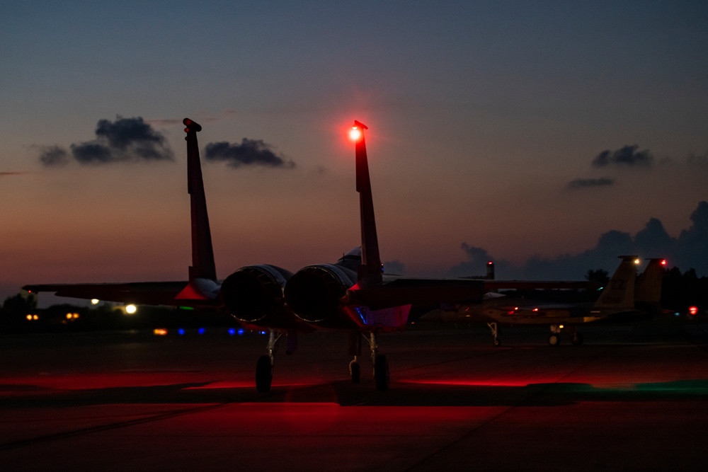 Kadena Bats Fly at Dusk