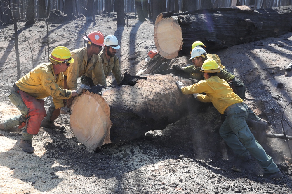 23rd BEB Soldiers support NIFC and clear roads