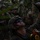 33 RQS conducts hoist training with Marines 33 RQS conducts hoist training with Marines