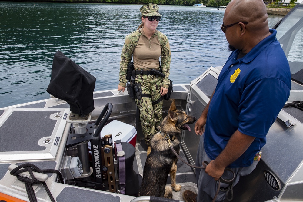 Task Force Koa Moana 21 Helps Train Canines to Patrol in Boats