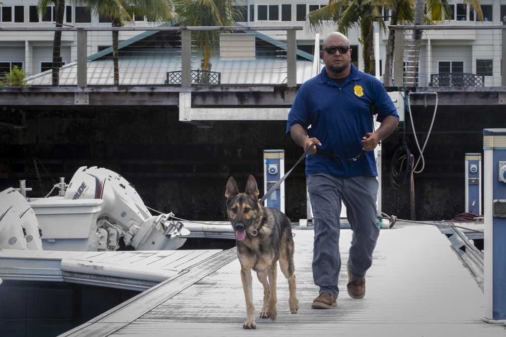 Task Force Koa Moana 21 Helps Train Canines to Patrol in Boats