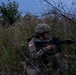 U.S. Army Dark Rifles clear trenches and provide support by fire during training exercise