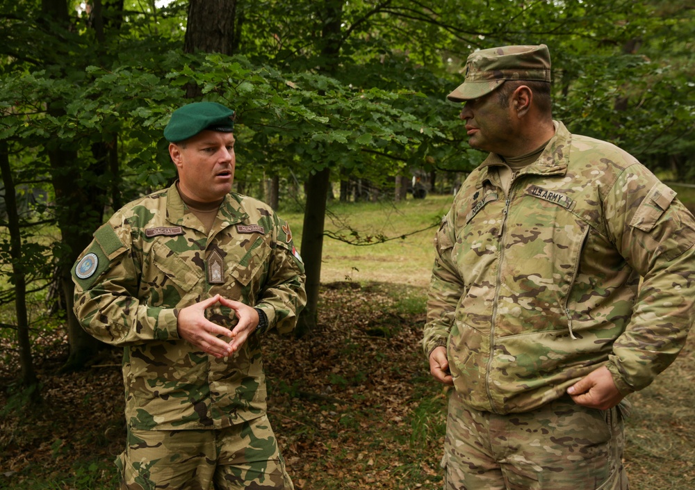 Hungarian Defense Forces soldiers visit the U.S. Army's Joint Multinational Readiness Center