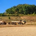 Fort McCoy RTS-Maintenance holds Wheeled Vehicle Recovery Operations Course