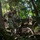 National Guard soldiers work with the Humane Association