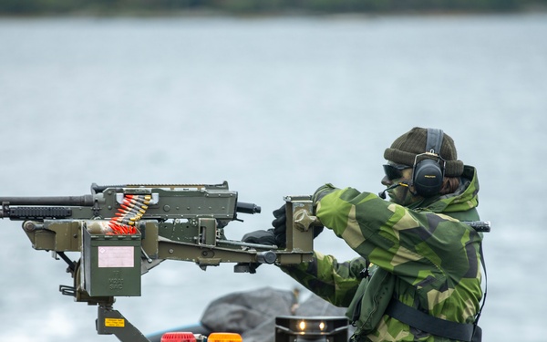 Strategic Friendships