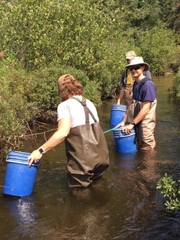 MIARNG practices environmental stewardship, conservation