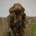 US, Ukrainian and Polish paratroopers jump from C-130