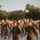LAAD Up