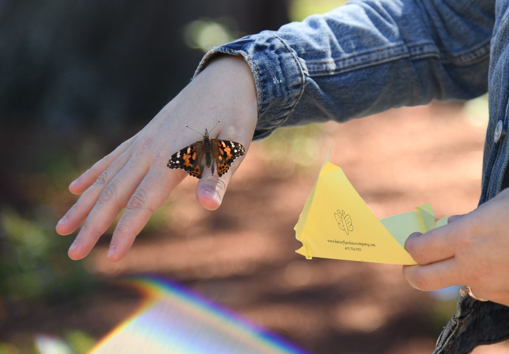 Butterfly Garden remembers fallen heroes