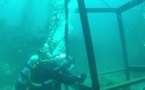 The image shows multiple scuba divers working underwater around a large metal frame or cage structure on the seafloor. The divers appear to be conducting some form of underwater construction, maintenance, or salvage operation. The scene is set in relatively shallow water with sandy bottom and some marine life visible.