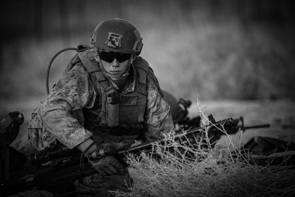 3/1 Weapons Co. Assault on Yodaville