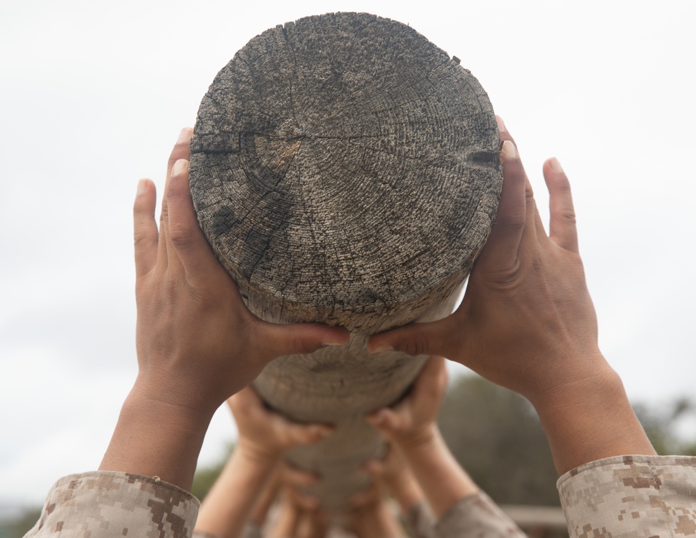 Bravo Company Log Drills