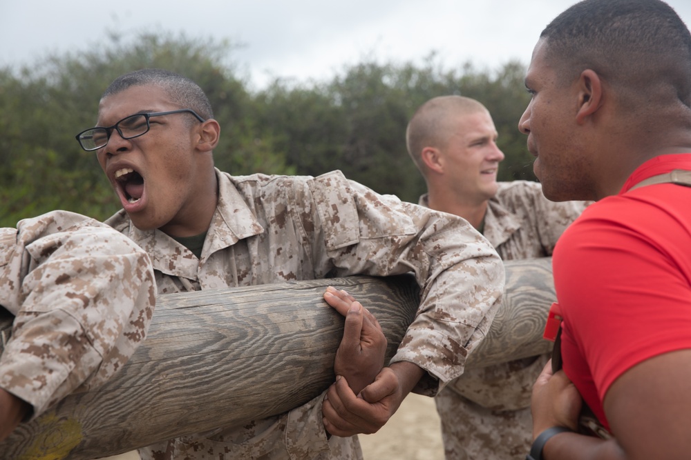 Bravo Company Log Drills