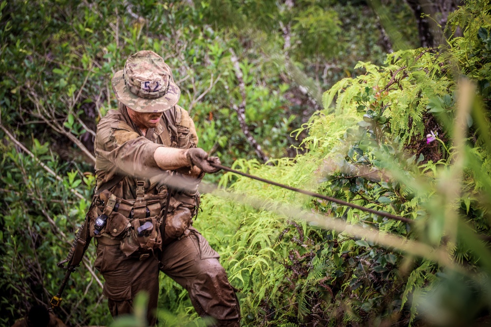 Jungle Operations Training Course (JOTC) Green Mile