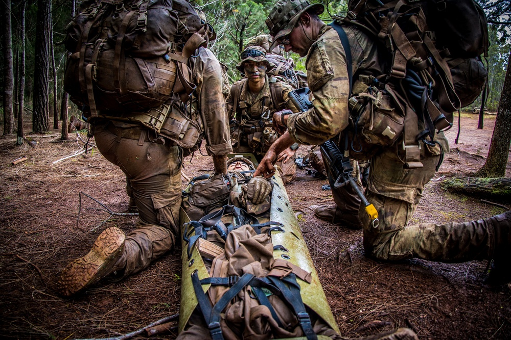 Jungle Operations Training Course (JOTC) Jungle Penetrator