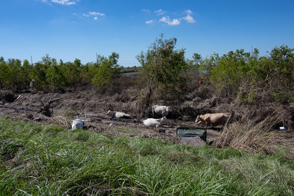 Hurricane Ida Recovery: Ironton, La