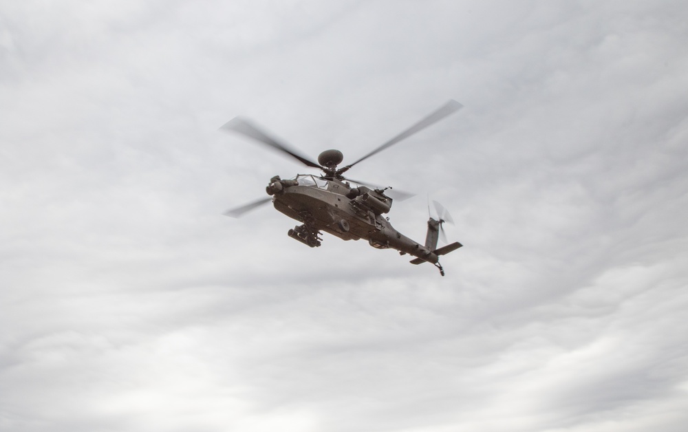 Tigersharks Train Together