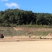 Fort McCoy RTS-Maintenance holds last Wheeled Vehicle Recovery Operations Course for fiscal year 2021
