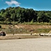 Fort McCoy RTS-Maintenance holds last Wheeled Vehicle Recovery Operations Course for fiscal year 2021