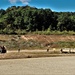 Fort McCoy RTS-Maintenance holds last Wheeled Vehicle Recovery Operations Course for fiscal year 2021