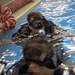 3d Force Reconnaissance Company conducts swim qualifications and combatant diver training