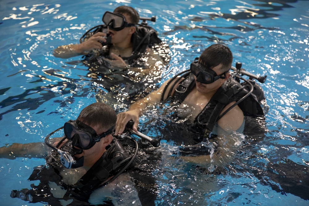 DVIDS - Images - 3d Force Reconnaissance Company conducts swim ...