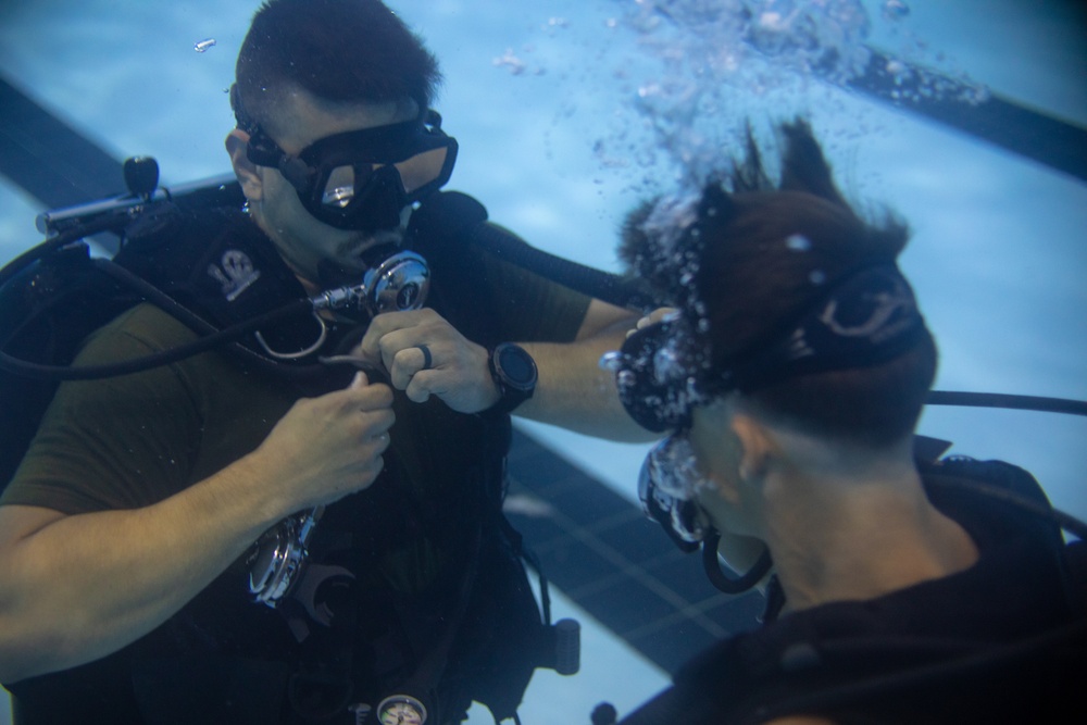 3d Force Reconnaissance Company conducts swim qualifications and combatant diver training