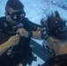 3d Force Reconnaissance Company conducts swim qualifications and combatant diver training