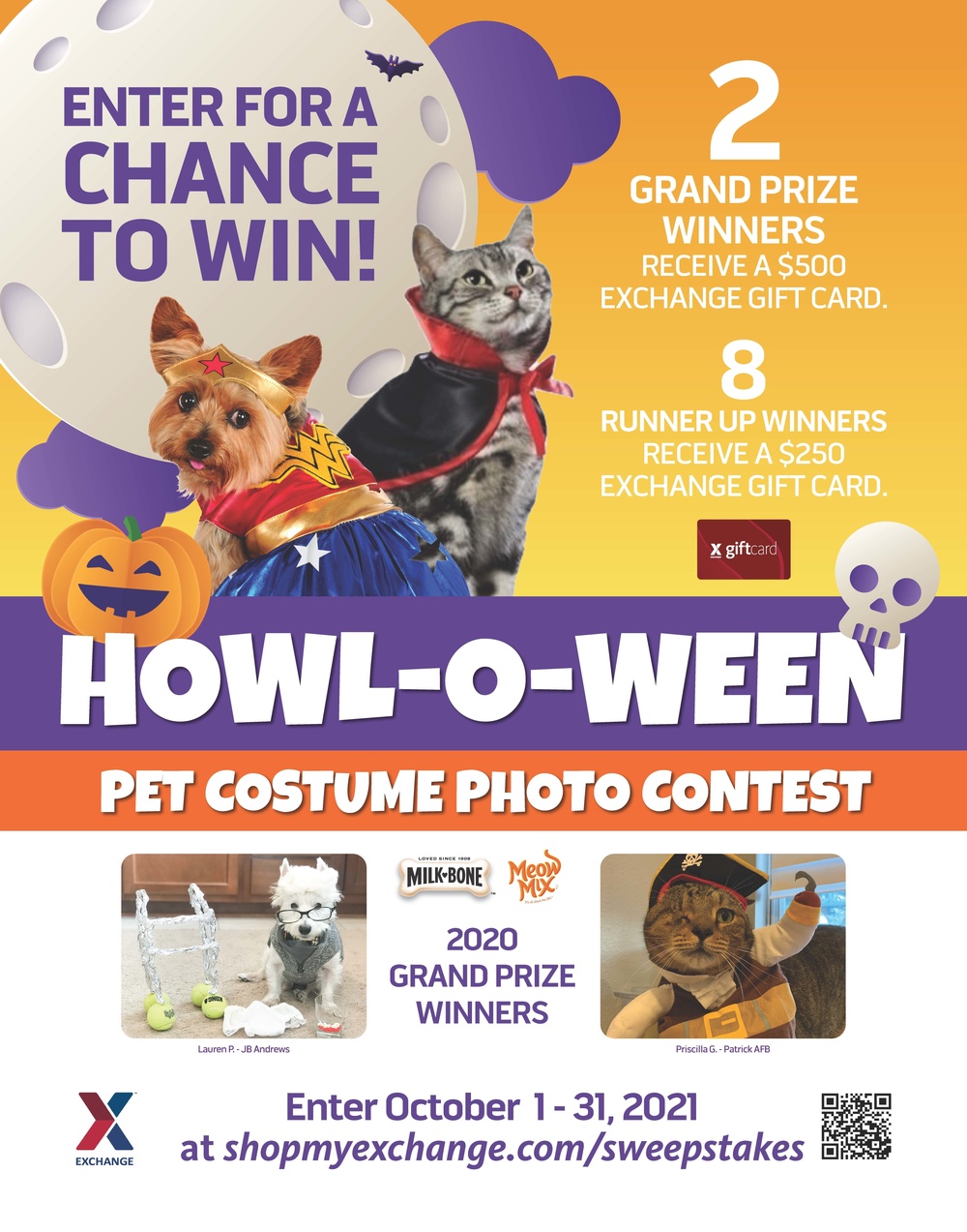 Howl-o-ween Pet Costume Contest Flyer Halloween Dog Pet 