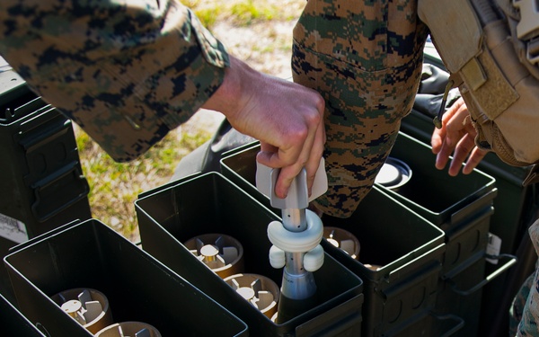 Tuesdays are for the Tubes