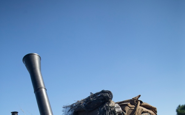 Tuesdays are for the Tubes