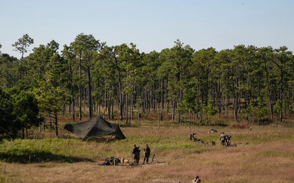 Tuesdays are for the Tubes