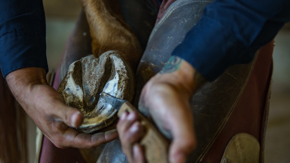 1st Cav Div Horse Det Farrier