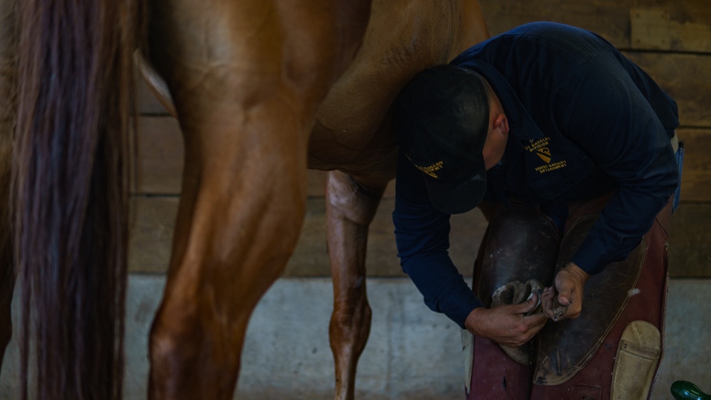 1st Cav Div Horse Det Farrier