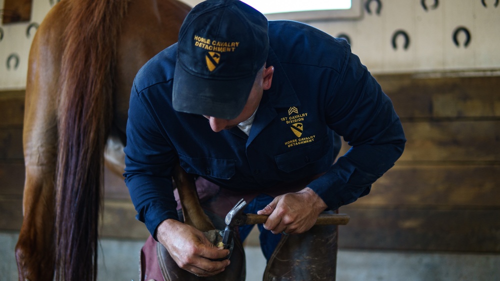 1st Cav Div Horse Det Farrier