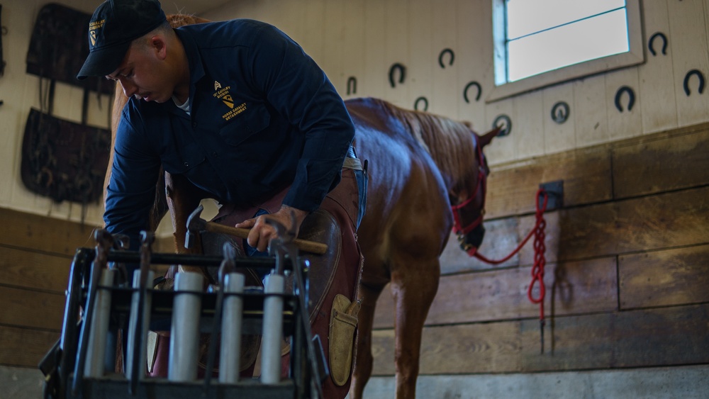 1st Cav Div Horse Det Farrier