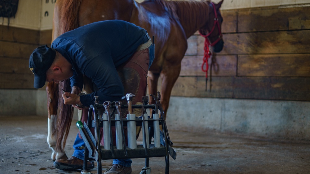 1st Cav Div Horse Det Farrier