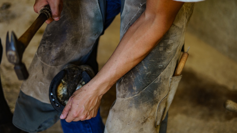 1st Cav Div Horse Det Farrier